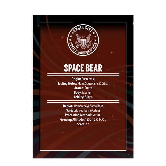 Space Bear 3.0 Roast